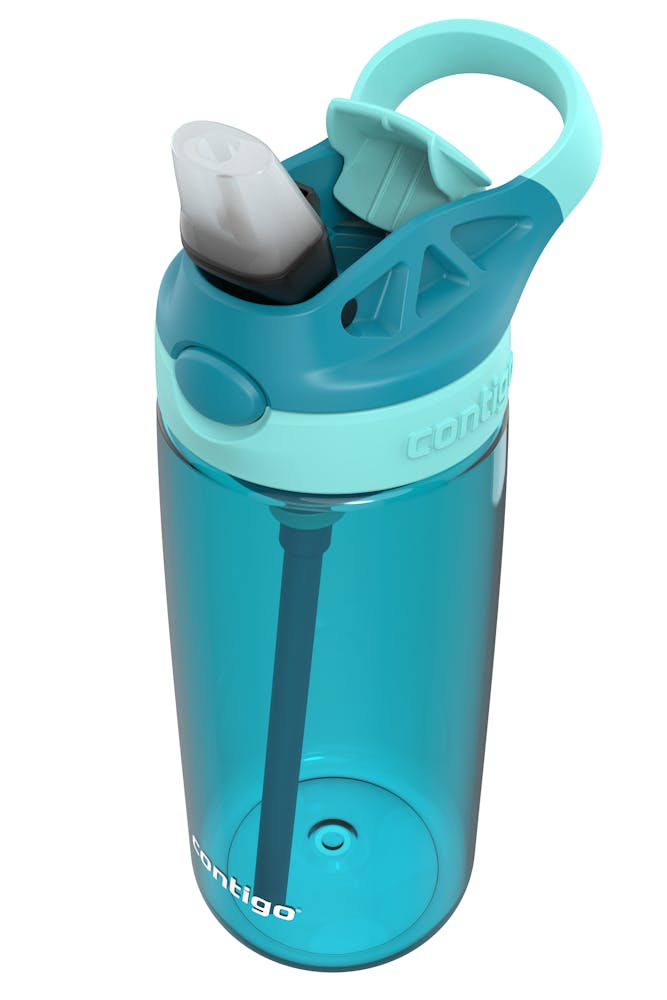 Contigo® Aubrey Leak-Proof Spill-Proof Water Bottle, 20oz. 2 Pack (QNR3)