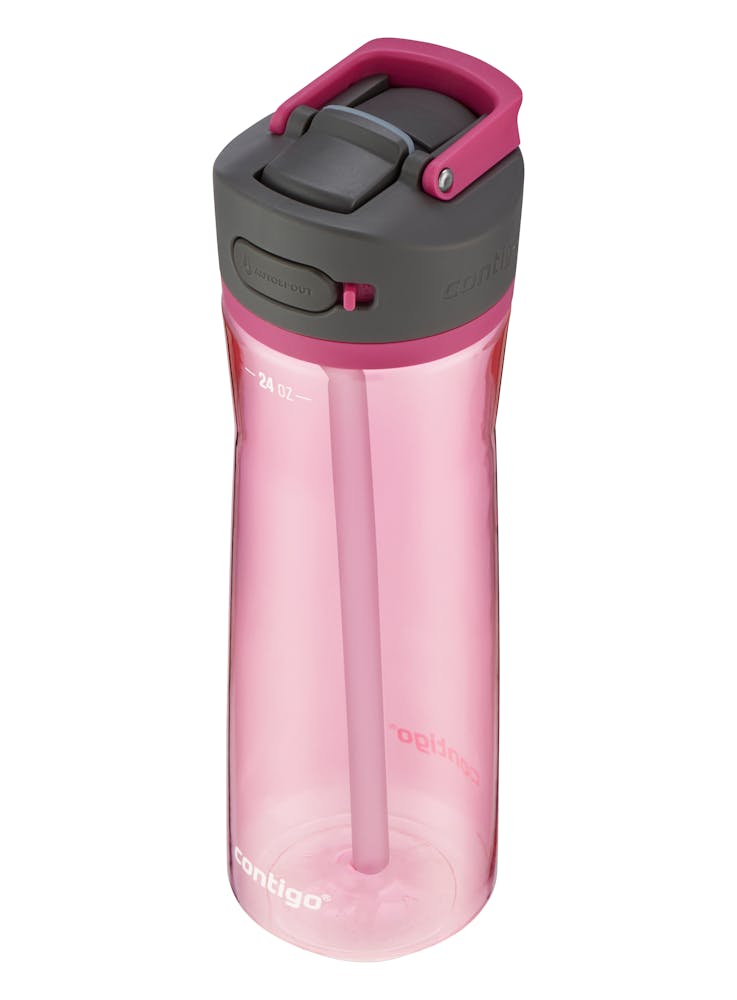 Contigo® Ashland 2.0 Water Bottle with AUTOSPOUT® Lid, 24oz (GY1Z)