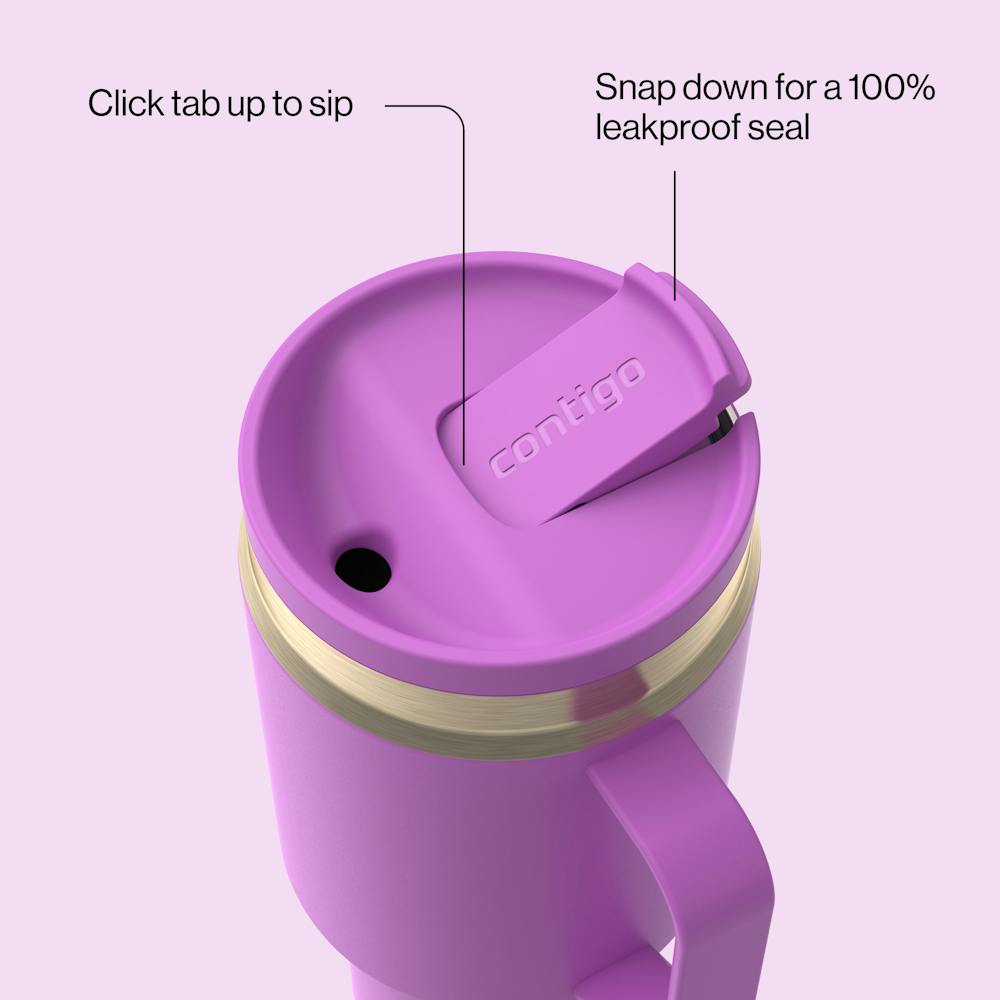 30 oz SnapSeal™ Tumbler (w/ Straw & Handle) (UR48)