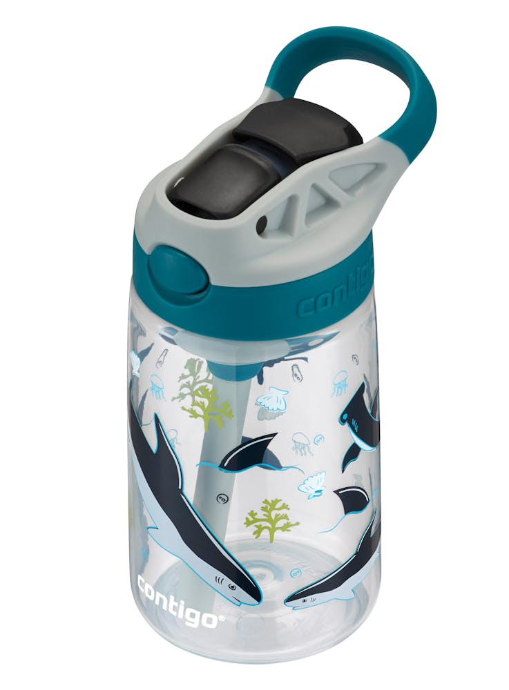 Contigo® Kids Straw Water Bottle with AUTOSPOUT® Lid, 14oz (M7C1)