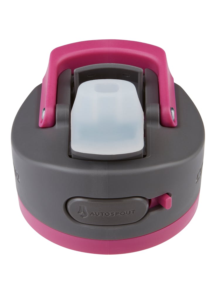 Contigo® Ashland 2.0 Water Bottle with AUTOSPOUT® Lid, 24oz (GY1Z)