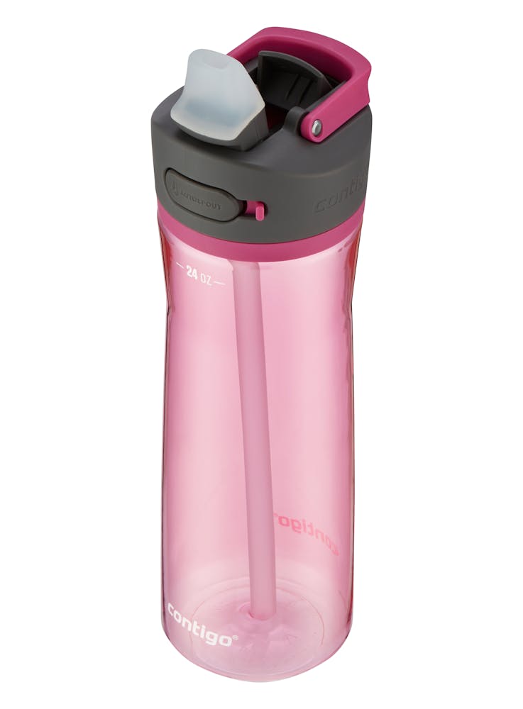 Contigo® Ashland 2.0 Water Bottle with AUTOSPOUT® Lid, 24oz (GY1Z)