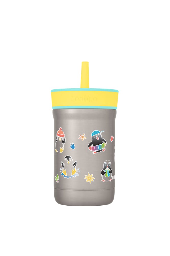 Contigo® Kids Leighton Spill-Proof Stainless Steel Tumbler with Straw, 12oz (B8DX)