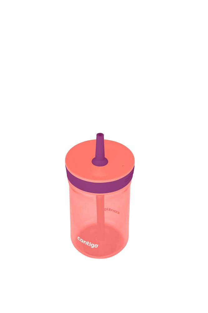 Contigo® Kids’ Leighton Straw Tumbler with Spill-Proof Leak-Proof Lid, 14oz (LCG0)