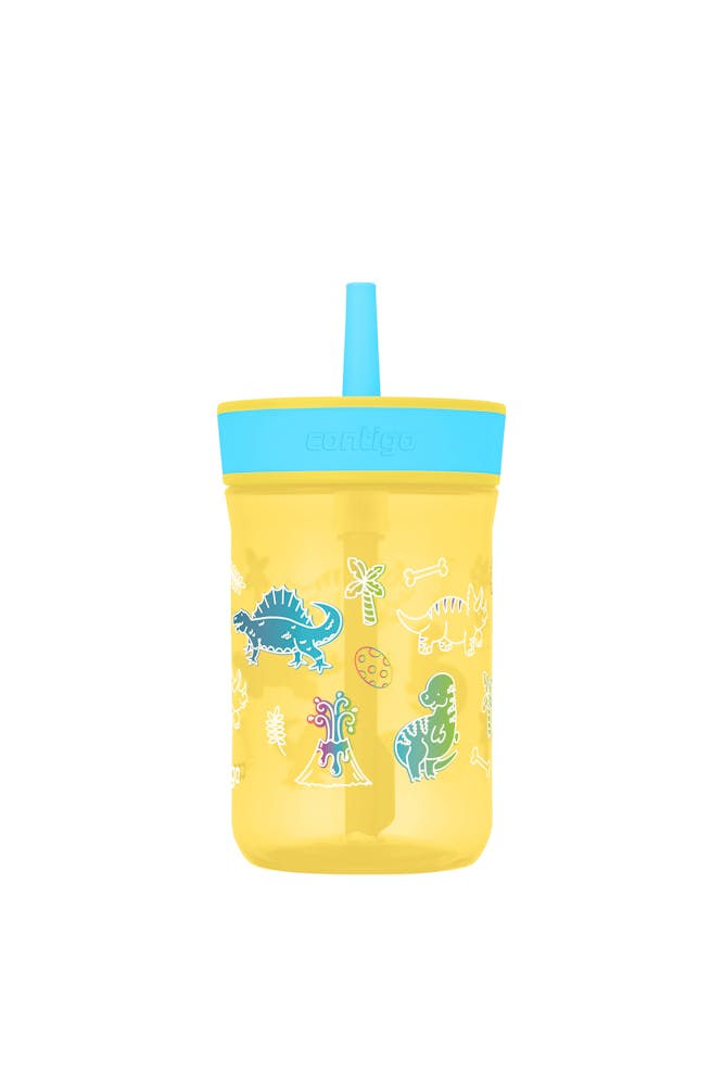 Contigo® Kids’ Leighton Straw Tumbler with Spill-Proof Leak-Proof Lid, 14oz (LCG0)