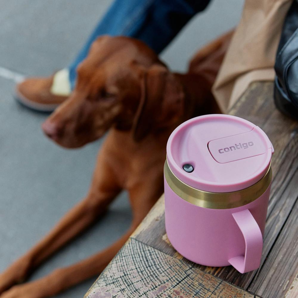 14 oz SnapSeal™ Bottle (BU4Y)