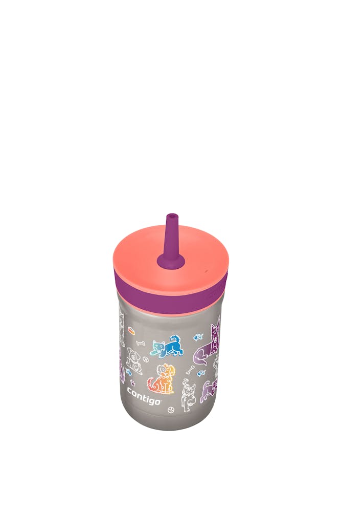 Contigo® Kids Leighton Spill-Proof Stainless Steel Tumbler with Straw, 12oz (B8DX)