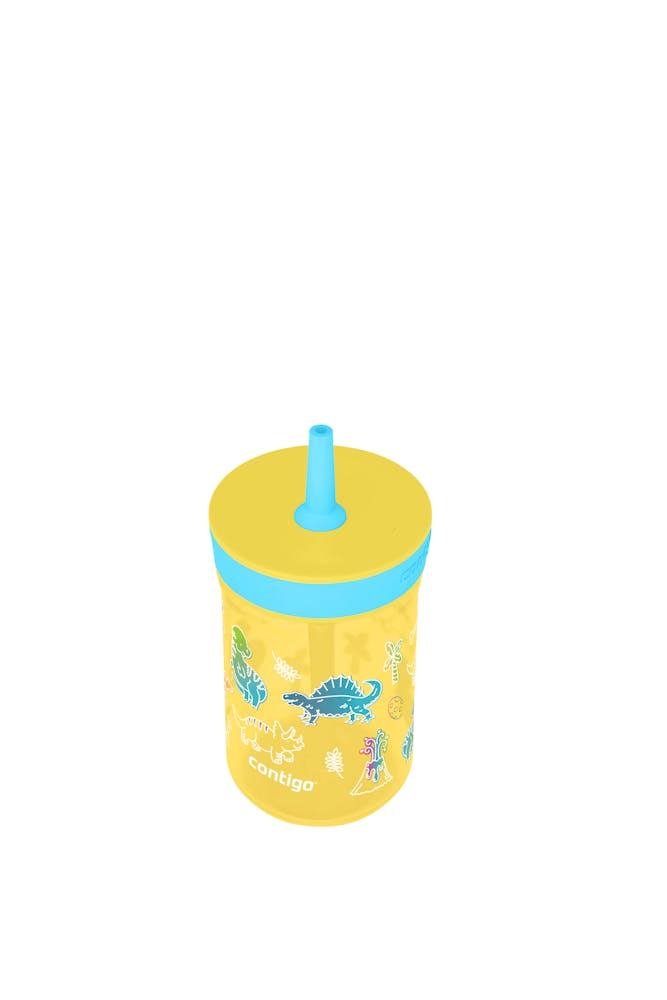 Contigo® Kids’ Leighton Straw Tumbler with Spill-Proof Leak-Proof Lid, 14oz (LCG0)