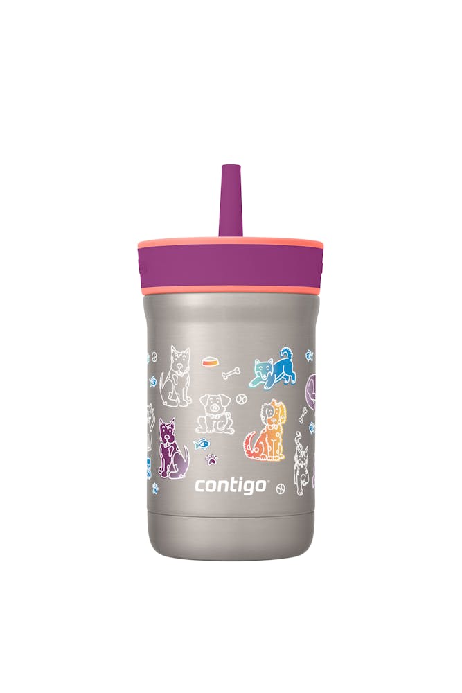 Contigo® Kids Leighton Spill-Proof Stainless Steel Tumbler with Straw, 12oz (B8DX)