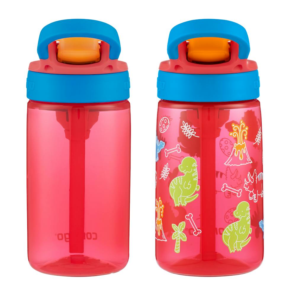 Contigo® Kids Water Bottle with Redesigned AUTOSPOUT® Straw, 14 oz, 2 pack (KNS0)