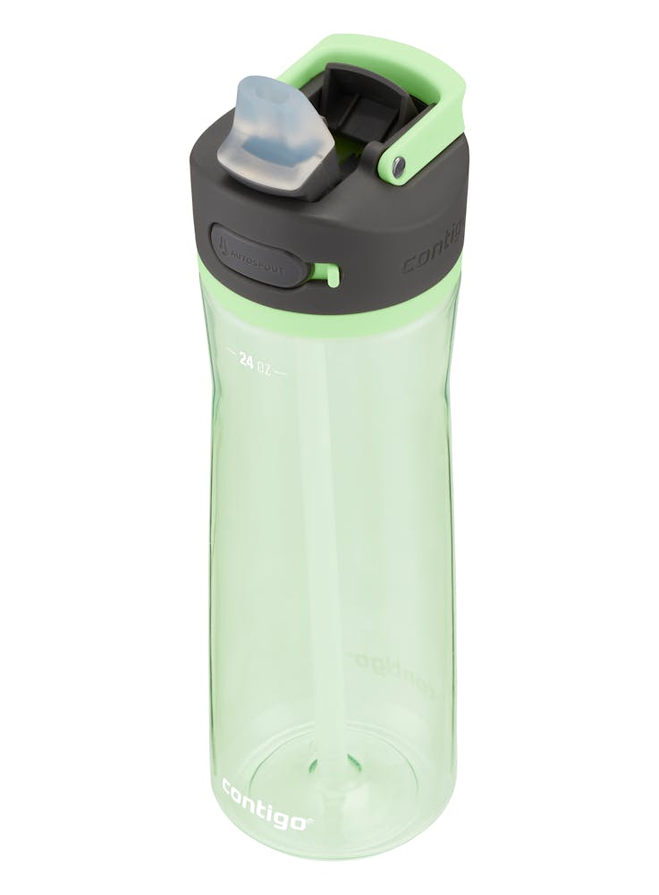 Contigo® Ashland 2.0 Water Bottle with AUTOSPOUT® Lid, 24oz (GY1Z)